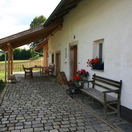 Ferienhaus Winter Blaibach Exterior photo