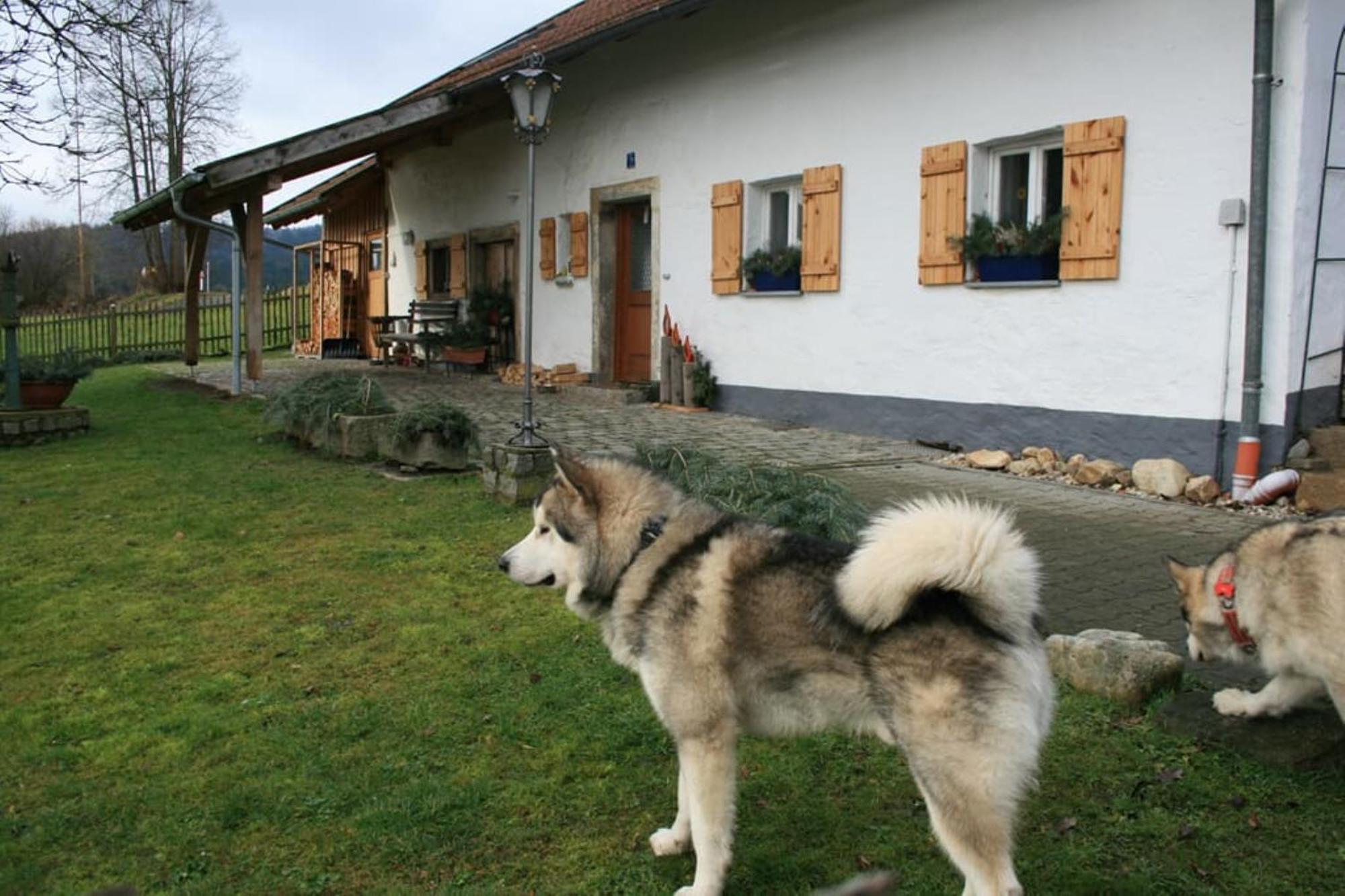 Ferienhaus Winter Blaibach Exterior photo